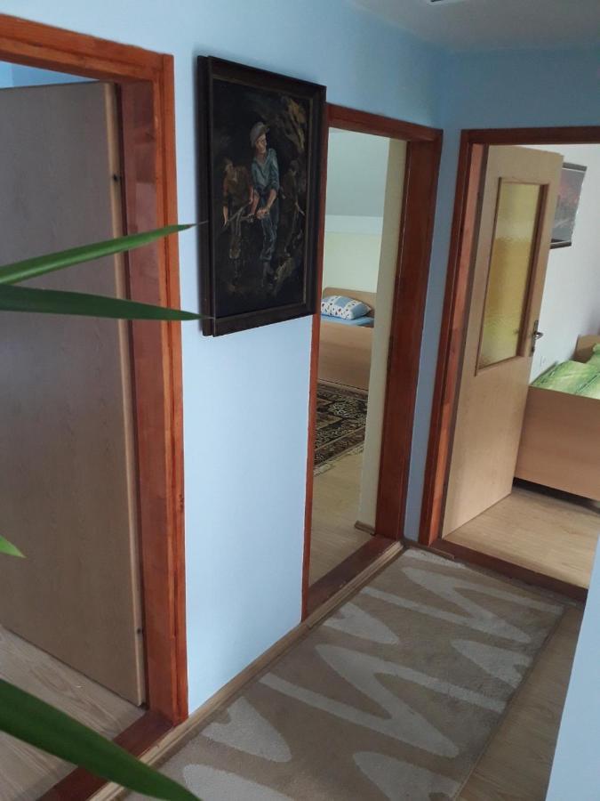 Prenociste Vitas Bed and Breakfast Miljevina Exterior foto