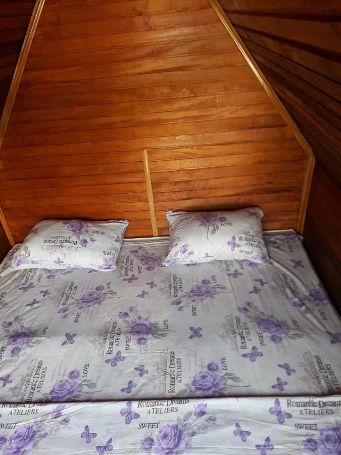 Prenociste Vitas Bed and Breakfast Miljevina Exterior foto