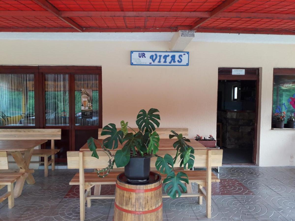 Prenociste Vitas Bed and Breakfast Miljevina Exterior foto