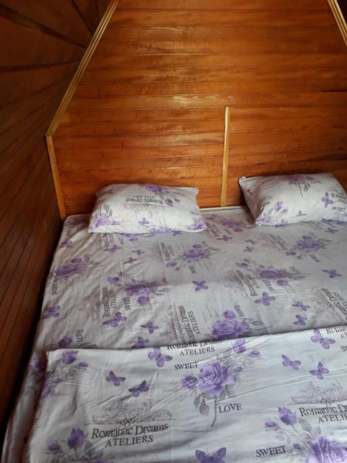 Prenociste Vitas Bed and Breakfast Miljevina Exterior foto